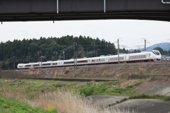 JR東日本E657系電車 ときわ(特急) 鉄道フォト・写真 by フレッシュマリオさん 友部駅：2016年04月09日13時ごろ