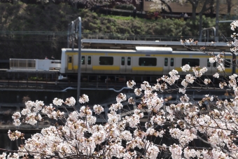 JR東日本E231系電車 鉄道フォト・写真 by フレッシュマリオさん 市ケ谷駅 (JR)：2021年03月27日10時ごろ