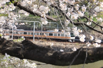 JR東日本E233系電車 鉄道フォト・写真 by フレッシュマリオさん 飯田橋駅 (JR)：2021年03月27日11時ごろ