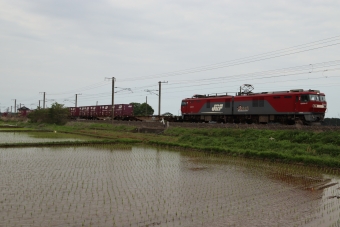 JR貨物 EH500形 EH500-57 鉄道フォト・写真 by フレッシュマリオさん 友部駅：2021年05月15日15時ごろ