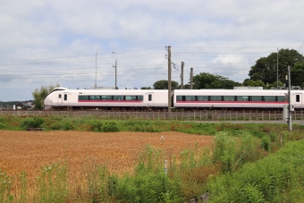 JR東日本E657系電車 ときわ(特急) 鉄道フォト・写真 by フレッシュマリオさん 友部駅：2021年05月30日09時ごろ