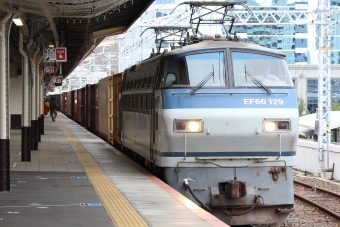 JR貨物 国鉄EF66形電気機関車 EF66-129 鉄道フォト・写真 by taigatrainさん 神戸駅 (兵庫県)：2019年10月19日10時ごろ