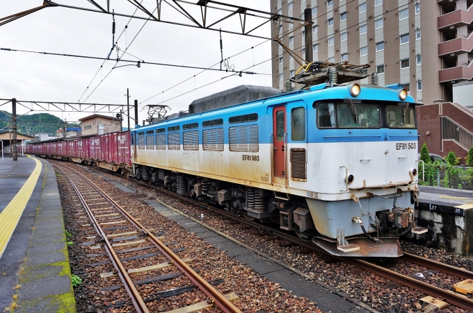 JR貨物 国鉄EF81形電気機関車 EF81-503 鉄道フォト・写真 by ナカシマさん 佐伯駅：2021年06月27日11時ごろ