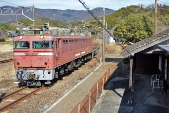 JR貨物 EF81 EF81-403 鉄道フォト・写真 by ナカシマさん 下ノ江駅：2022年02月07日10時ごろ