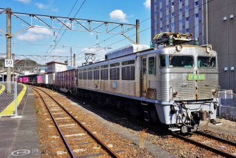 JR貨物 国鉄EF81形電気機関車 EF81-303 鉄道フォト・写真 by ナカシマさん 佐伯駅：2022年02月04日11時ごろ