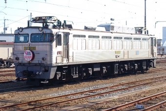 JR貨物 国鉄EF81形電気機関車 EF81-303 鉄道フォト・写真 by ナカシマさん 延岡駅 (JR)：2022年12月27日13時ごろ