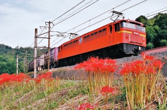 ＪＲ貨物 EF67- 3 鉄道フォト・写真 by ナカシマさん 八本松駅：2020年01月03日01時ごろ