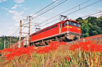 JR貨物 国鉄EF67形電気機関車 EF67-101 鉄道フォト・写真 by ナカシマさん 八本松駅：2009年09月30日16時ごろ