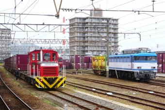 JR貨物DB500形ディーゼル機関車 DB500-53 鉄道フォト・写真 by ナカシマさん 延岡駅 (JR)：2023年04月24日15時ごろ