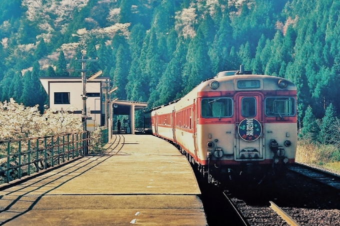 JR西日本 国鉄キハ58系気動車 三段峡観光号 キハ58 三段峡駅 鉄道