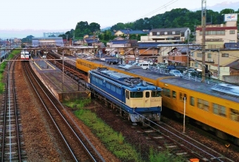 JR貨物 国鉄EF65形電気機関車 EF65-1133 鉄道フォト・写真 by ナカシマさん 里庄駅：2015年08月23日18時ごろ