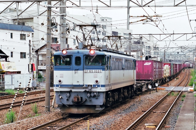 JR貨物 国鉄EF65形電気機関車 EF65-1037 鉄道フォト・写真 by ナカシマさん 向洋駅：2009年06月01日12時ごろ