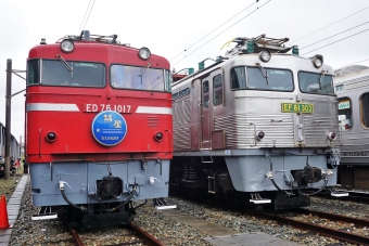 JR貨物 国鉄ED76形電気機関車 ED76-1017 鉄道フォト・写真 by ナカシマさん ：2023年10月08日15時ごろ