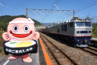 JR貨物 EF510形 EF510-301 鉄道フォト・写真 by ナカシマさん 海崎駅：2023年11月05日11時ごろ