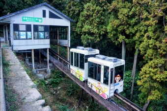 高崎山自然動物園 さるっこレール 鉄道フォト・写真 by ナカシマさん ：2023年12月17日13時ごろ