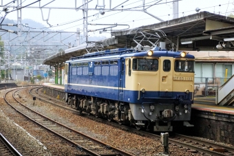 JR貨物 国鉄EF65形電気機関車 EF65-1133 鉄道フォト・写真 by ナカシマさん 八本松駅：2024年02月20日13時ごろ