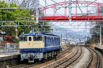 JR貨物 国鉄EF65形電気機関車 EF65-1133 鉄道フォト・写真 by ナカシマさん 八本松駅：2024年02月20日13時ごろ
