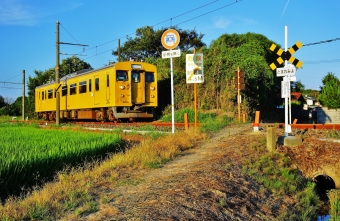 クモハ123-2 鉄道フォト・写真