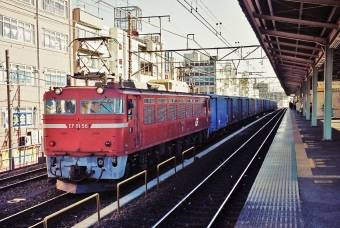 JR貨物 国鉄EF81形電気機関車 EF81-56 鉄道フォト・写真 by ナカシマさん 金町駅：2000年12月27日09時ごろ