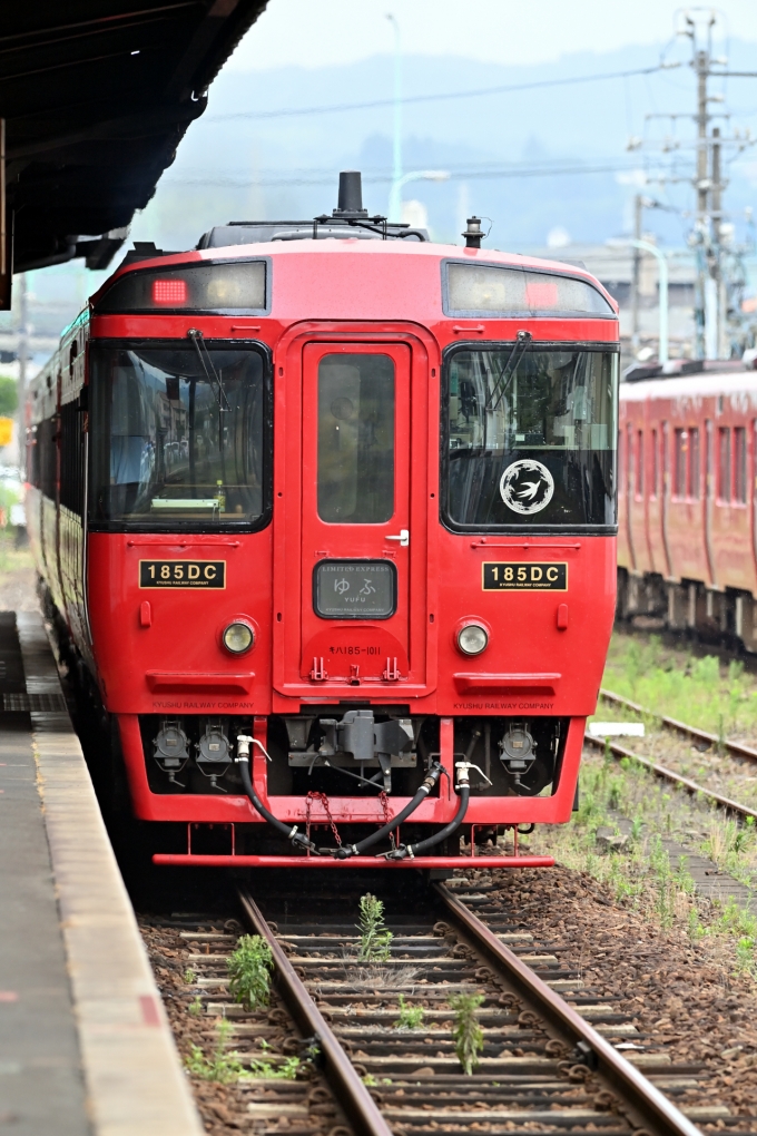 鉄道フォト・写真：JR九州 国鉄キハ185系気動車 ゆふ キハ185-1011 日田駅 鉄道フォト・写真 by あきひろしさん - 撮影日 2024/06/25 11:33