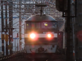 JR貨物 EF210形 EF210-142 鉄道フォト・写真 by 99knockさん 金山駅 (愛知県|JR)：2020年11月14日16時ごろ