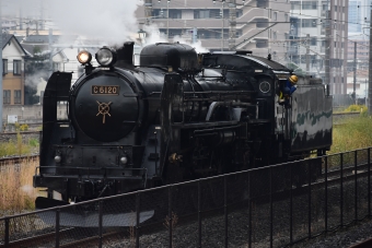 JR東日本 C61形 C61 20 鉄道フォト・写真 by 山初期鐵だよさん ：2021年10月25日15時ごろ