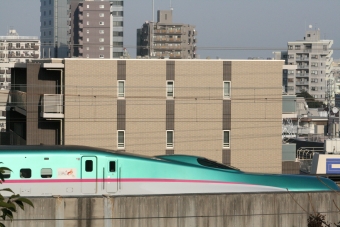 JR東日本 E5系新幹線電車 E514形(Tsc) はやぶさ(新幹線) E5 鉄道フォト・写真 by 山初期鐵だよさん 王子駅 (JR)：2020年01月13日15時ごろ