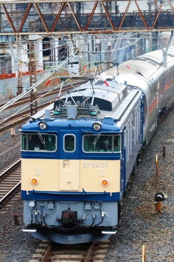 JR東日本 国鉄EF64形電気機関車 カシオペア信州 EF64-37 鉄道フォト・写真 by 山初期鐵だよさん 日暮里駅 (JR)：2020年01月25日16時ごろ