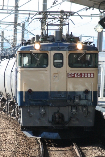 JR貨物 国鉄EF65形電気機関車 EF65-2088 鉄道フォト・写真 by 山初期鐵だよさん 新座駅：2020年02月01日13時ごろ