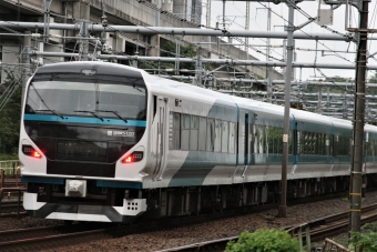 JR東日本E257系電車 クハE257形(Tc) 鉄道フォト・写真 by 山初期鐵だよさん 王子駅 (JR)：2020年09月23日16時ごろ