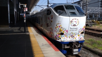 JR西日本 クハ281形 はるか(特急)はるか クハ281-3 鉄道フォト・写真 by 1010さん 京都駅 (JR)：2022年08月15日14時ごろ