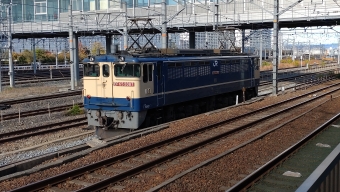 JR貨物 国鉄EF65形電気機関車 EF65-2087 鉄道フォト・写真 by 1010さん 岸辺駅：2022年11月06日14時ごろ