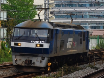 JR貨物 EF210形 EF210-170 鉄道フォト・写真 by とかだまさん 藤沢駅 (JR)：2020年09月27日12時ごろ