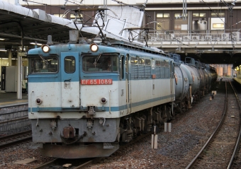 JR貨物 国鉄EF65形電気機関車 EF65 1089 鉄道フォト・写真 by Kazoo8021さん 大宮駅 (埼玉県|JR)：2010年11月02日16時ごろ