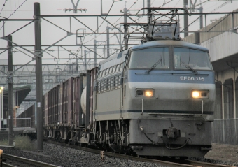 JR貨物 国鉄EF66形電気機関車 EF66 116 鉄道フォト・写真 by Kazoo8021さん 自治医大駅：2010年11月13日06時ごろ