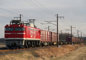 JR東日本 国鉄EF81形電気機関車 EF81 95 鉄道フォト・写真 by Kazoo8021さん 岩間駅：2011年01月30日16時ごろ