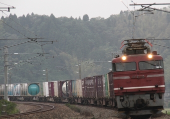 JR貨物 国鉄EF81形電気機関車 EF81 115 鉄道フォト・写真 by Kazoo8021さん 倶利伽羅駅 (IRいしかわ)：2011年06月18日10時ごろ
