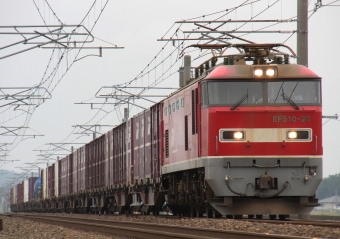 JR貨物 EF510形 EF510-20 鉄道フォト・写真 by Kazoo8021さん 丸岡駅：2011年06月19日09時ごろ