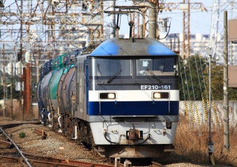 JR貨物 EF210形 EF210-161 鉄道フォト・写真 by Kazoo8021さん 浜川崎駅：2020年02月22日11時ごろ