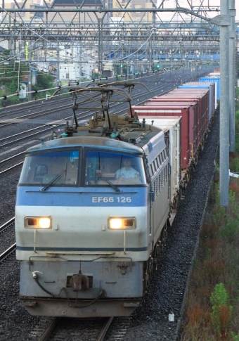 JR貨物 国鉄EF66形電気機関車 EF66 126 鉄道フォト・写真 by Kazoo8021さん 戸塚駅 (JR)：2020年06月20日04時ごろ