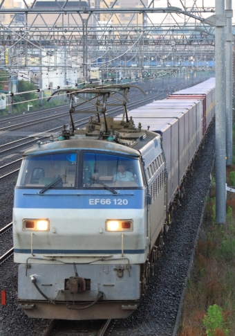 JR貨物 国鉄EF66形電気機関車 EF66 120 鉄道フォト・写真 by Kazoo8021さん 戸塚駅 (JR)：2020年06月20日04時ごろ