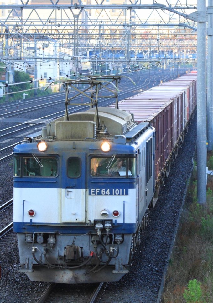 JR貨物 国鉄EF64形電気機関車 EF64 1011 戸塚駅 (JR) 鉄道フォト・写真 