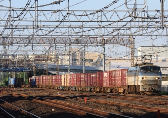 JR貨物 国鉄EF66形電気機関車 EF66 103 鉄道フォト・写真 by Kazoo8021さん 戸塚駅 (JR)：2020年06月20日06時ごろ
