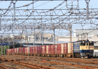 JR貨物 国鉄EF65形電気機関車 EF65 2074 鉄道フォト・写真 by Kazoo8021さん 戸塚駅 (JR)：2020年06月20日06時ごろ