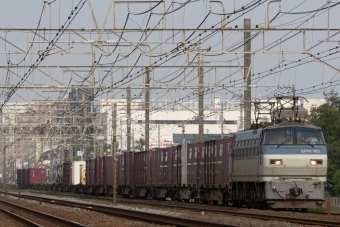 JR貨物 国鉄EF66形電気機関車 EF66 123 鉄道フォト・写真 by Kazoo8021さん 藤沢駅 (JR)：2023年06月25日06時ごろ
