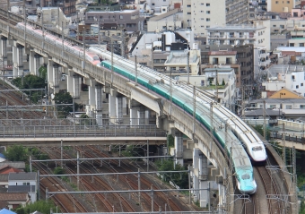 JR東日本 E2系新幹線電車 鉄道フォト・写真 by Kazoo8021さん 王子駅 (JR)：2018年08月19日15時ごろ