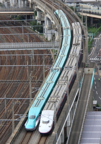 JR東日本 E4系新幹線電車 鉄道フォト・写真 by Kazoo8021さん 王子駅 (JR)：2018年08月19日15時ごろ
