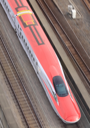JR東日本 E621形(M1c) こまち(新幹線) E621-2 鉄道フォト・写真 by Kazoo8021さん 王子駅 (JR)：2018年08月19日16時ごろ