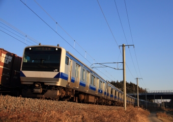 JR東日本 クハE531形 クハE531-10 鉄道フォト・写真 by Kazoo8021さん 高浜駅 (茨城県)：2020年02月10日16時ごろ
