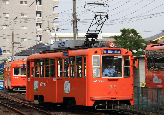 鉄道フォト・写真：伊予鉄道モハ50形電車 75 道後温泉駅 鉄道フォト・写真 by Kazoo8021さん - 撮影日 2018/06/09 08:20